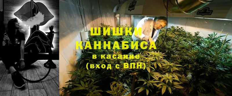 Бошки Шишки White Widow  Кедровый 